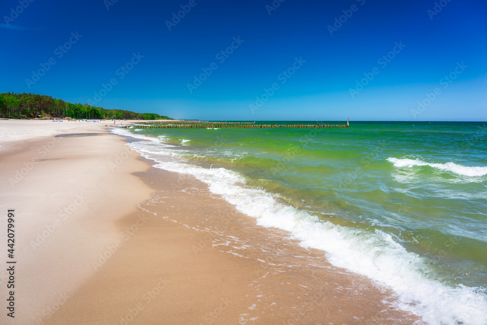 夏季赫尔半岛波罗的海的美丽风景。波兰