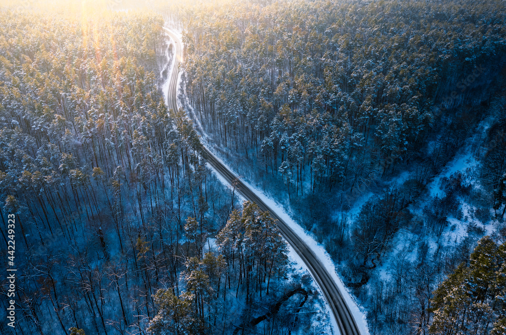 日落时雪林中央冬季道路鸟瞰图