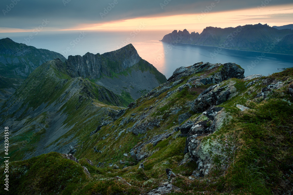 挪威森贾Husfjellet山全景。北欧夏季景观