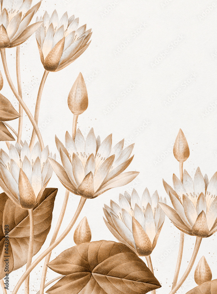 Egyptian lotus vintage illustration, remix from original artwork of Pierre-Joseph Redouté.