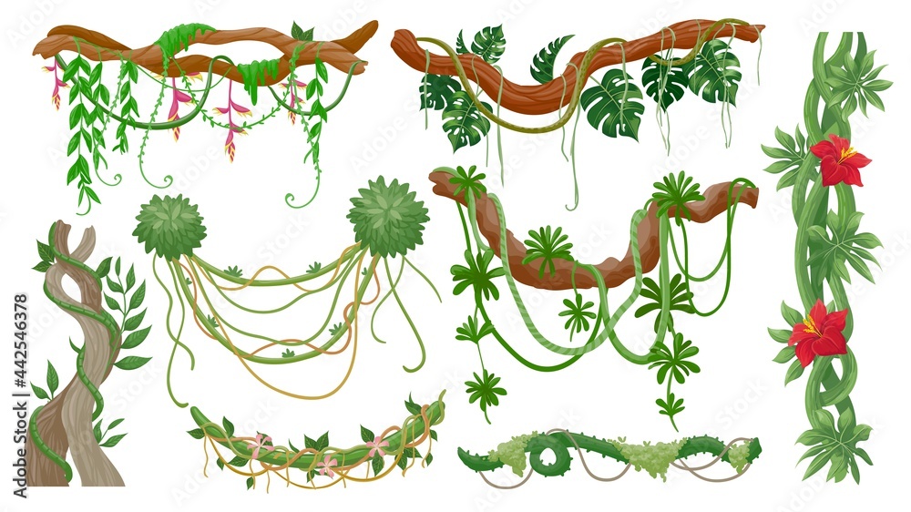 Jungle vines. Tropical tree branches with hanging liana ropes, green moss, exotic plant leaves and f