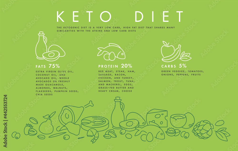 酮饮食产品的矢量图解信息图。健康饮食概念。