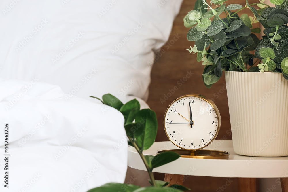 Alarm clock and houseplant on bedside table