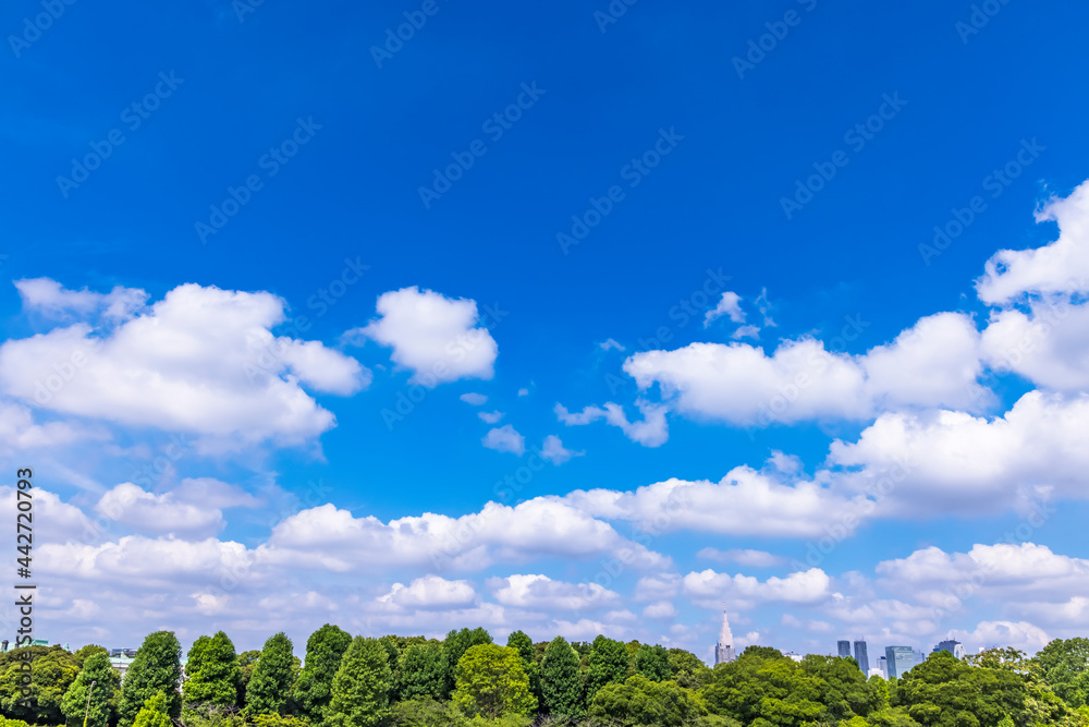 青空と雲と東京のビル