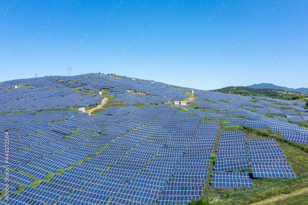 电站中的太阳能电池板