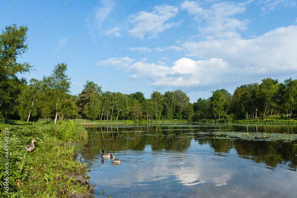 Duinen van Oostvoorne湖