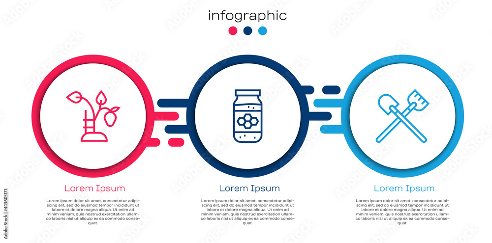 设置草莓丛、蜂蜜罐和铲子。商业信息图模板。矢量