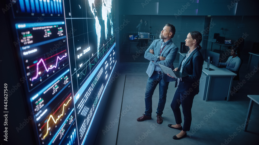 Project Manager and Computer Science Engineer Talk while Using Big Screen Display and a Laptop, Show