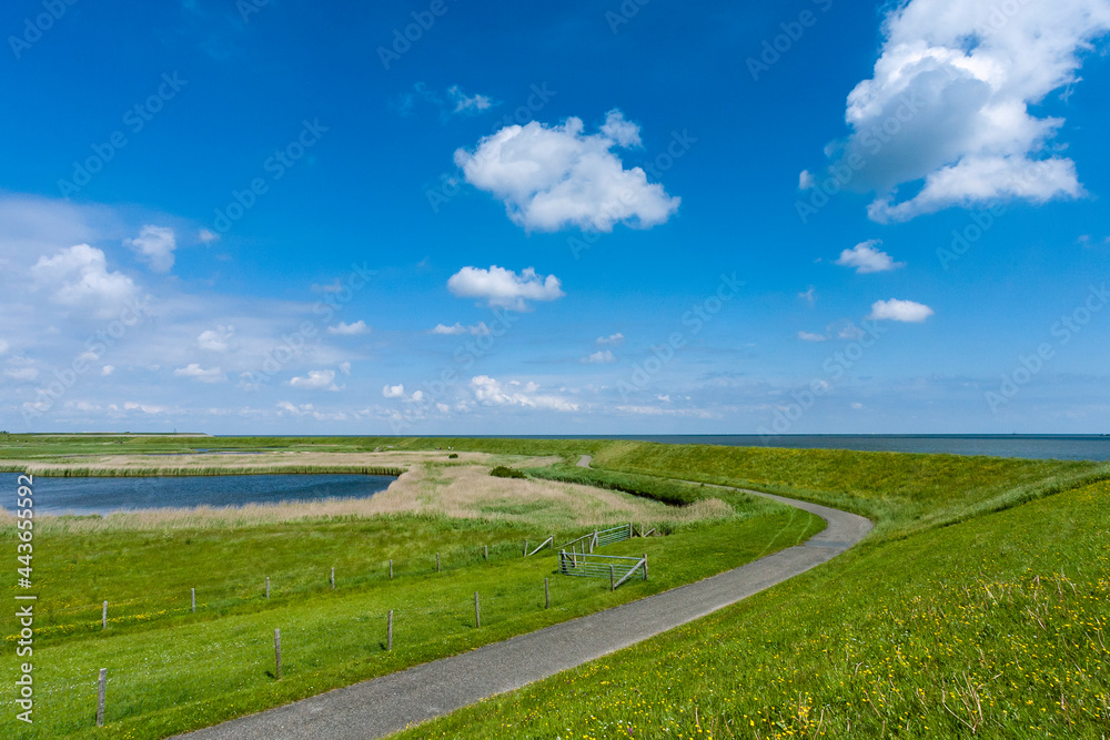 特克斯风景