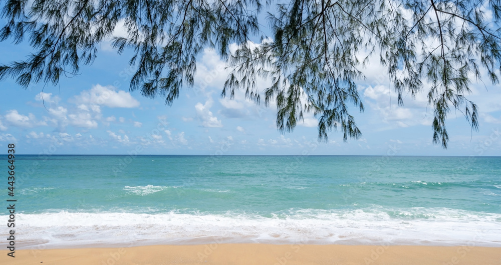 夏日沙滩令人惊叹的大海清澈的蓝天白云海浪拍打着沙滩上的树