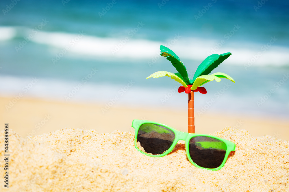 Miniature palm in sand and sunglasses on beach