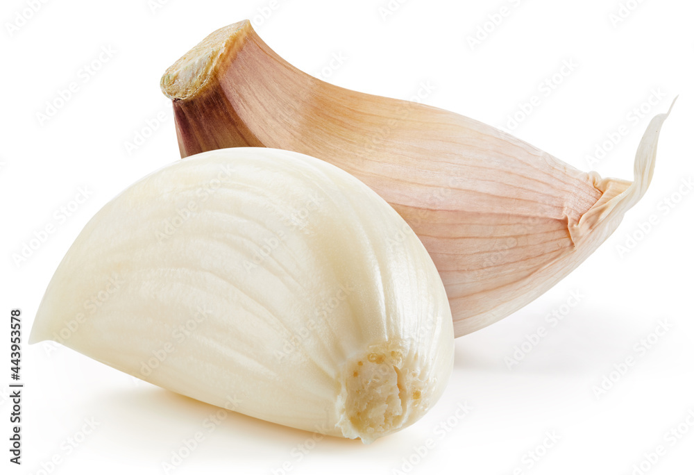 Garlic isolated on white background. Garlic and cloves on white background. Garlic with clipping pat