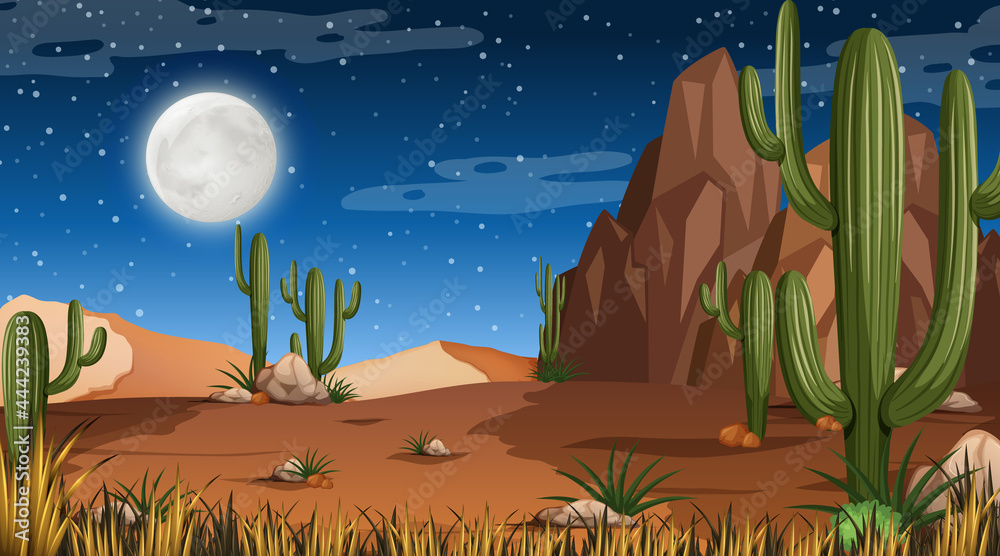 Desert forest landscape at night scene with many cactus