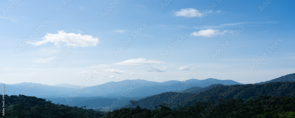 森林和山脉景观全景