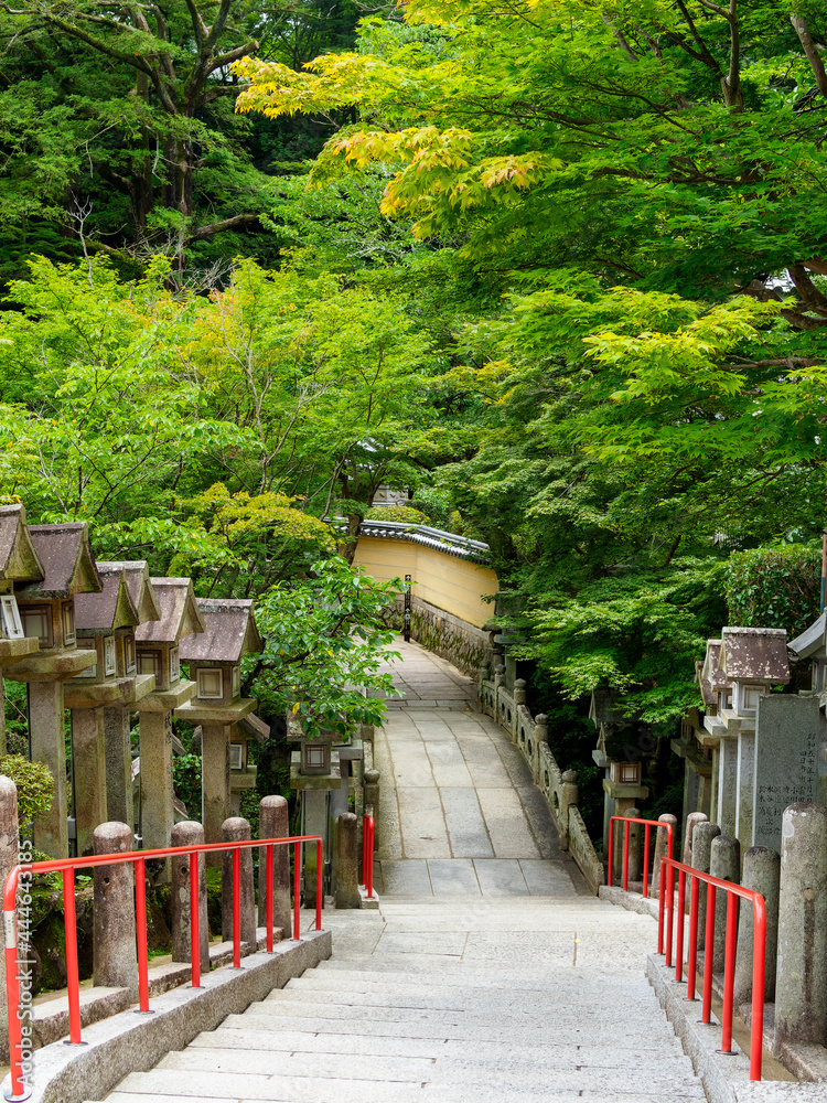 新緑に包まれた寺院の参道