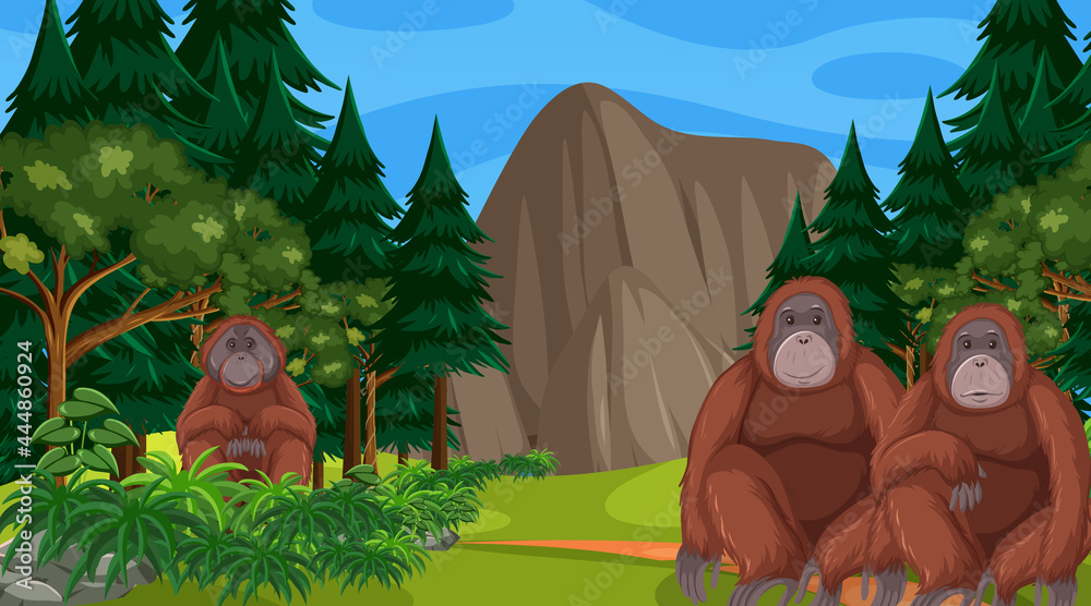 Orangutan in forest or rainforest scene with many trees