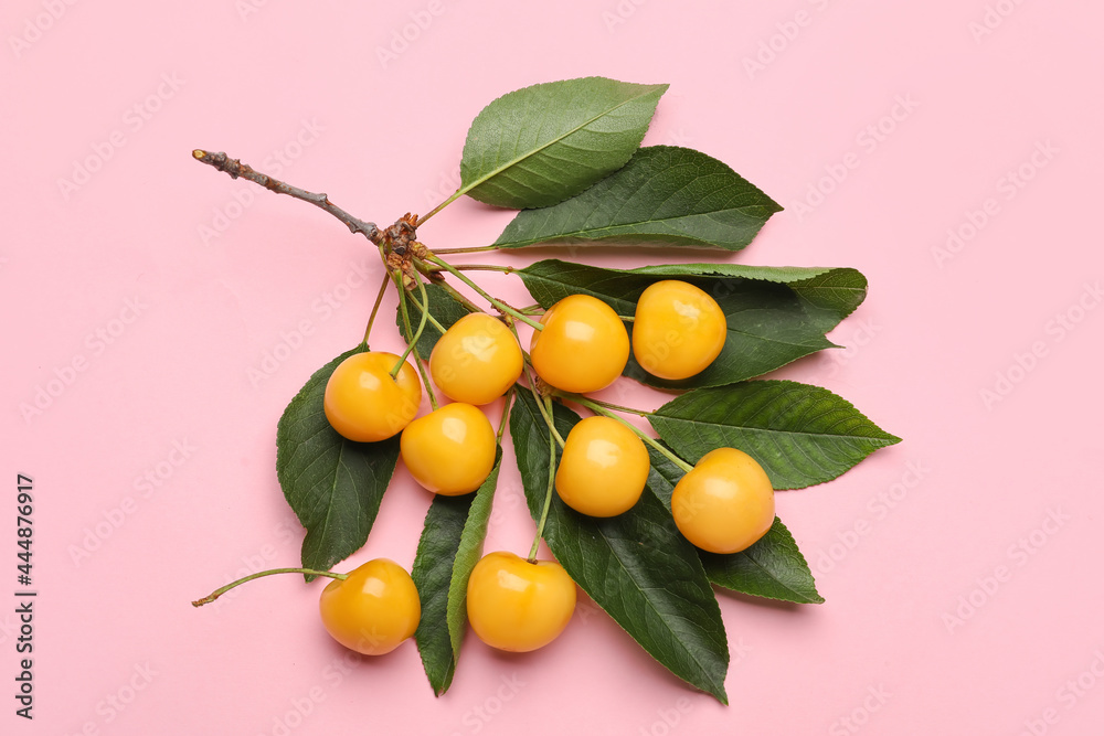 Tasty sweet cherries on color background