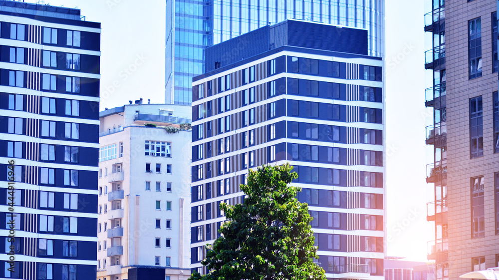 Eco architecture. Green tree and apartment building. The harmony of nature and modernity.