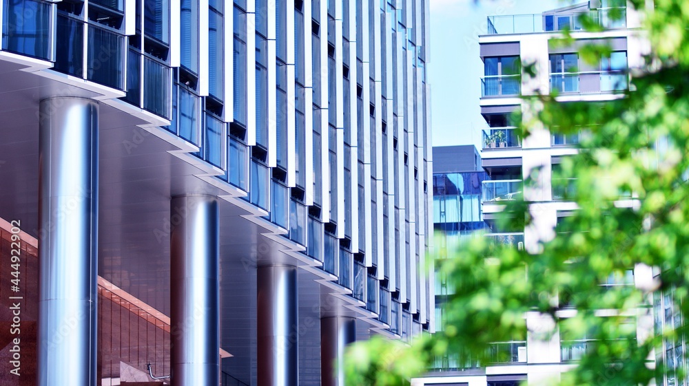 Eco architecture. Green tree and glass office building. The harmony of nature and modernity. Reflect