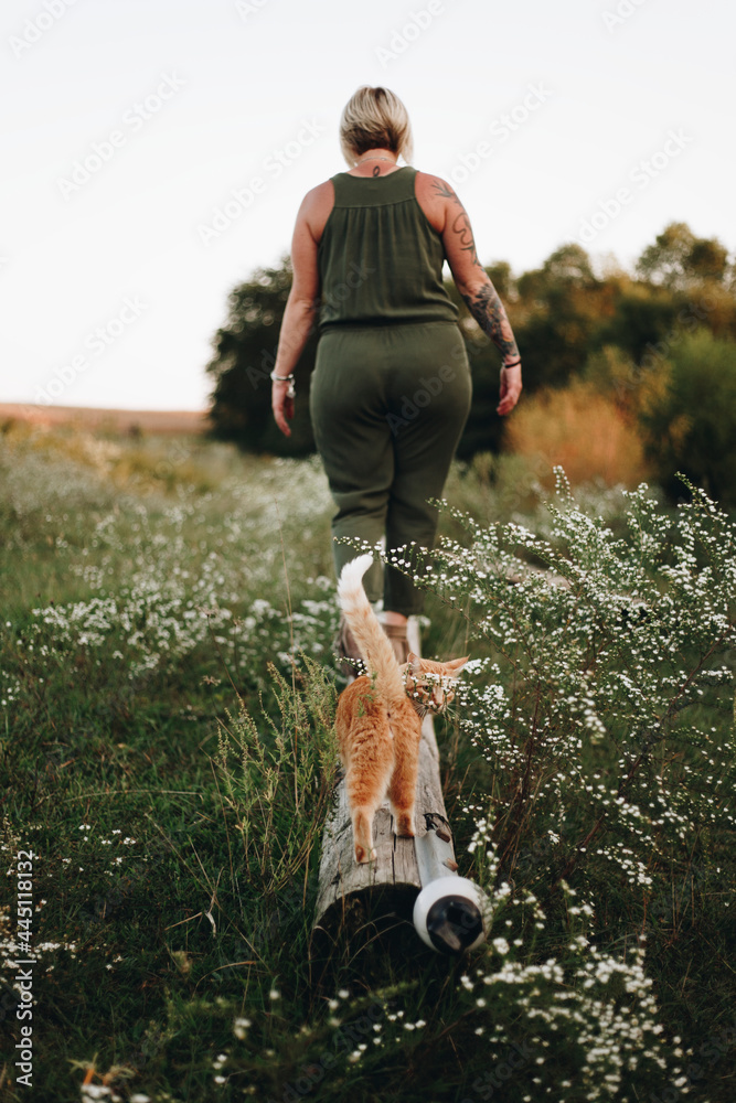 一只猫在农场里跟着它的主人