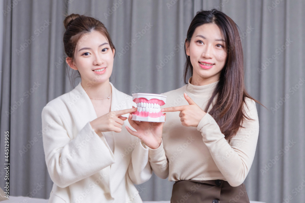 Two beautiful women holding tooth models