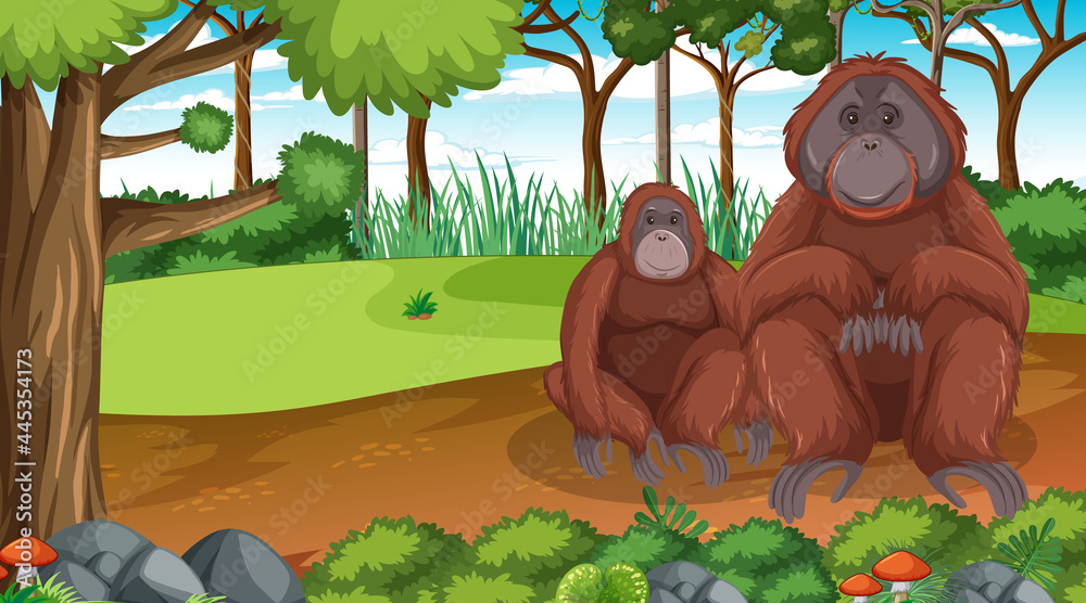 Orangutan in forest or rainforest scene with many trees