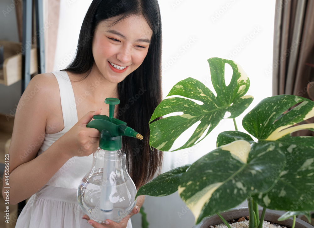 年轻的亚洲女人在花盆里喷洒植物