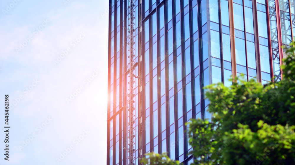 Eco architecture. Green tree and glass office building. The harmony of nature and modernity. Reflect