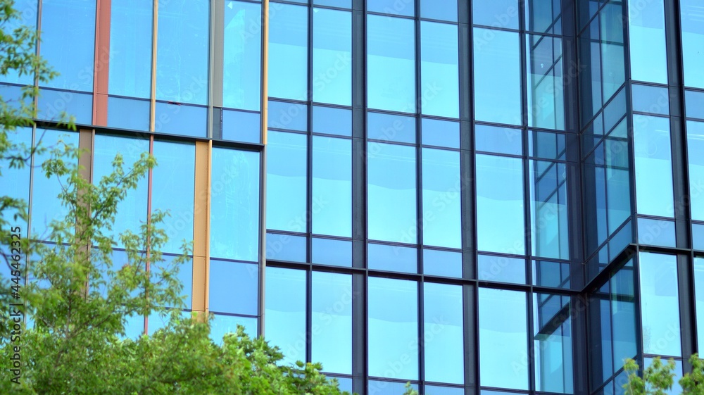 Eco architecture. Green tree and glass office building. The harmony of nature and modernity. Reflect