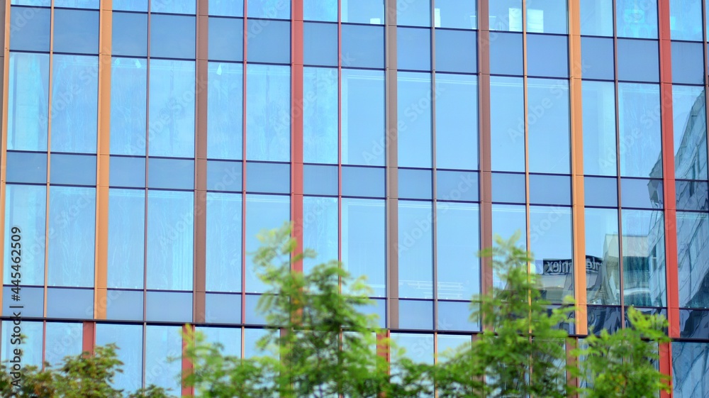 Eco architecture. Green tree and glass office building. The harmony of nature and modernity. Reflect