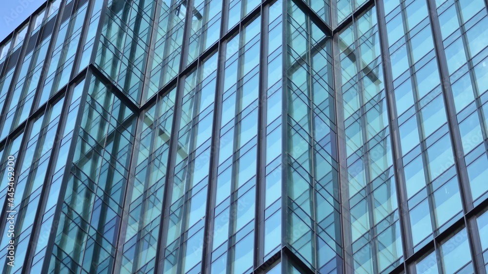 Eco architecture. Green tree and glass office building. The harmony of nature and modernity. Reflect