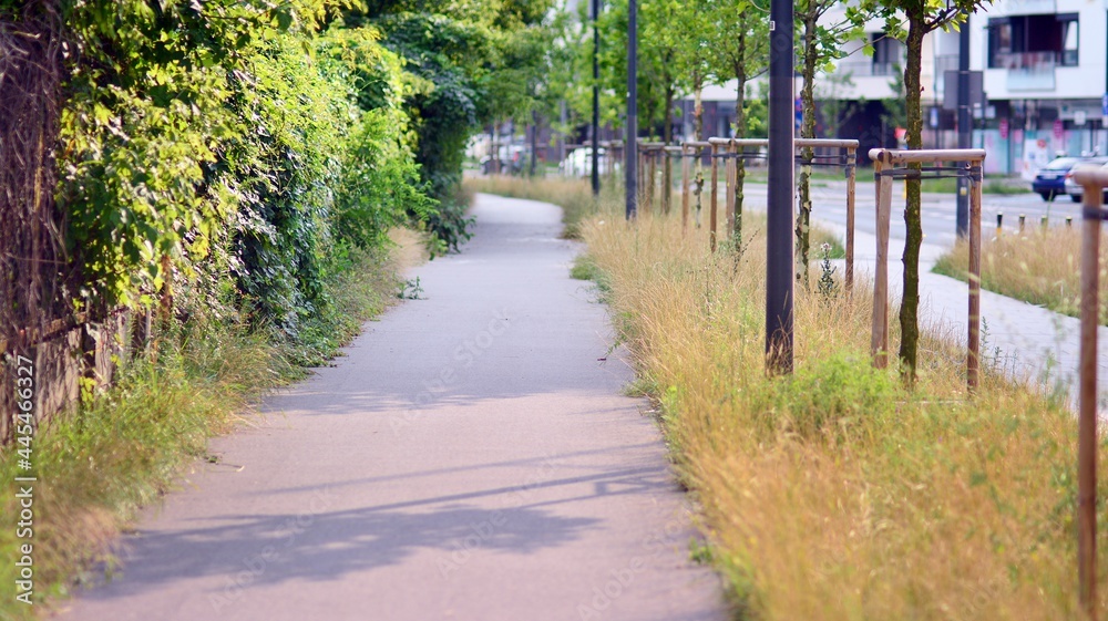 沿街街区。城市的可爱部分