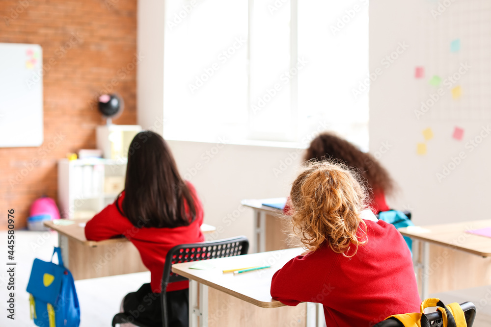 在学校上课时可爱的小学生