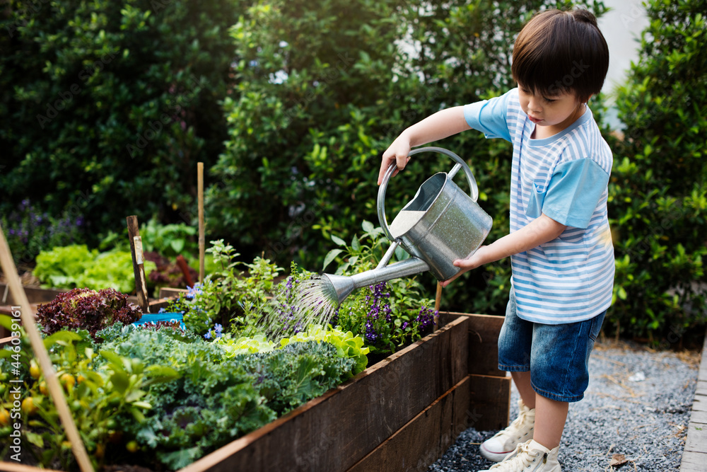 Little boy watering the plants