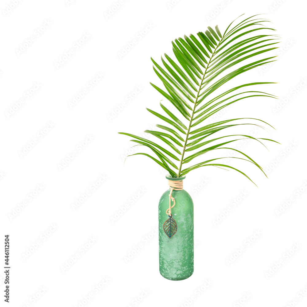 A leaf of natural coconut palm in a bottle with a leather rope and decor isolated on white. Interior