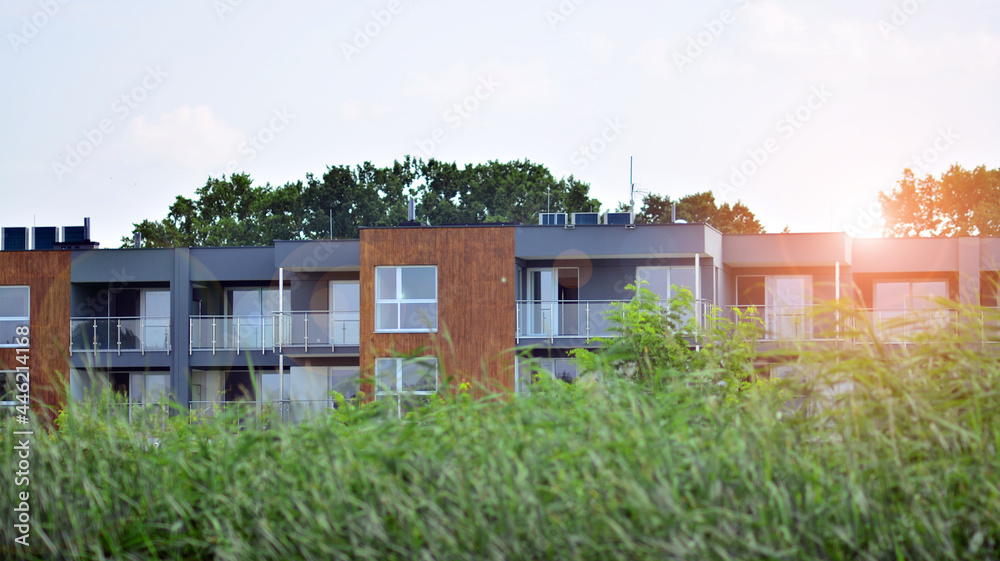 Eco architecture. Green tree and apartment building. The harmony of nature and modernity.