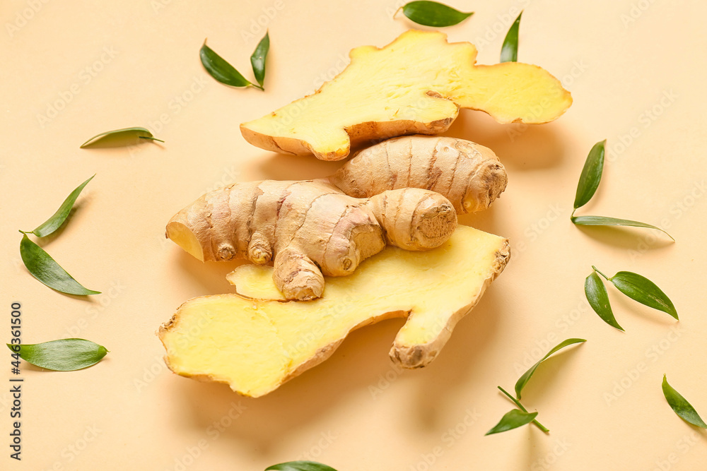 Composition with fresh ginger on color background