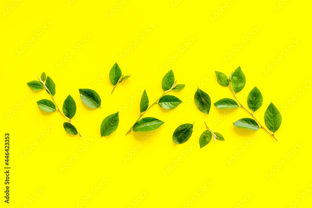 Frame of green leaf branches, top view. Floral pattern background