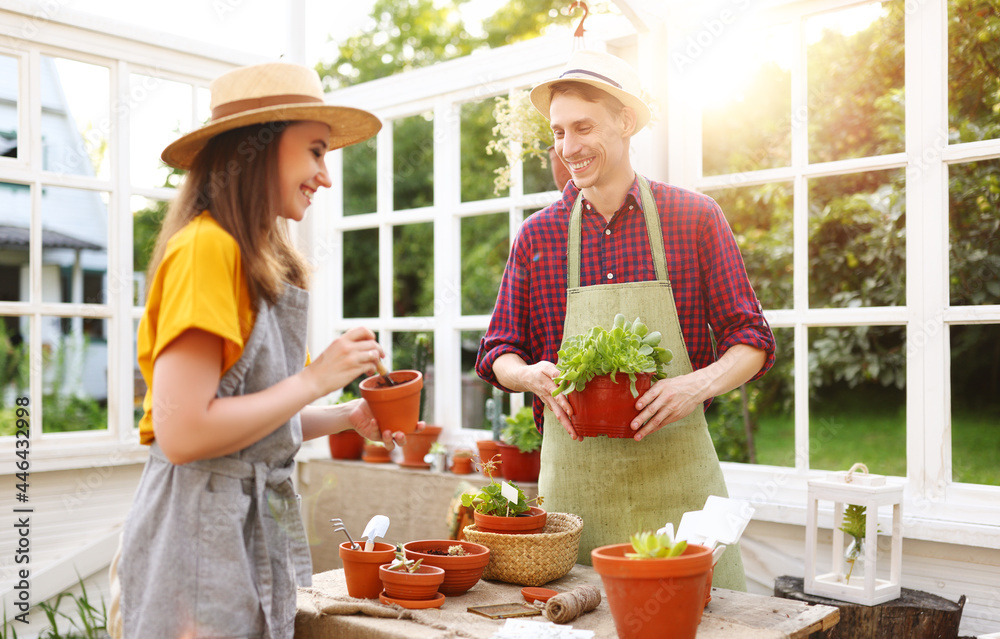 Delighted couple gardening in orangery together