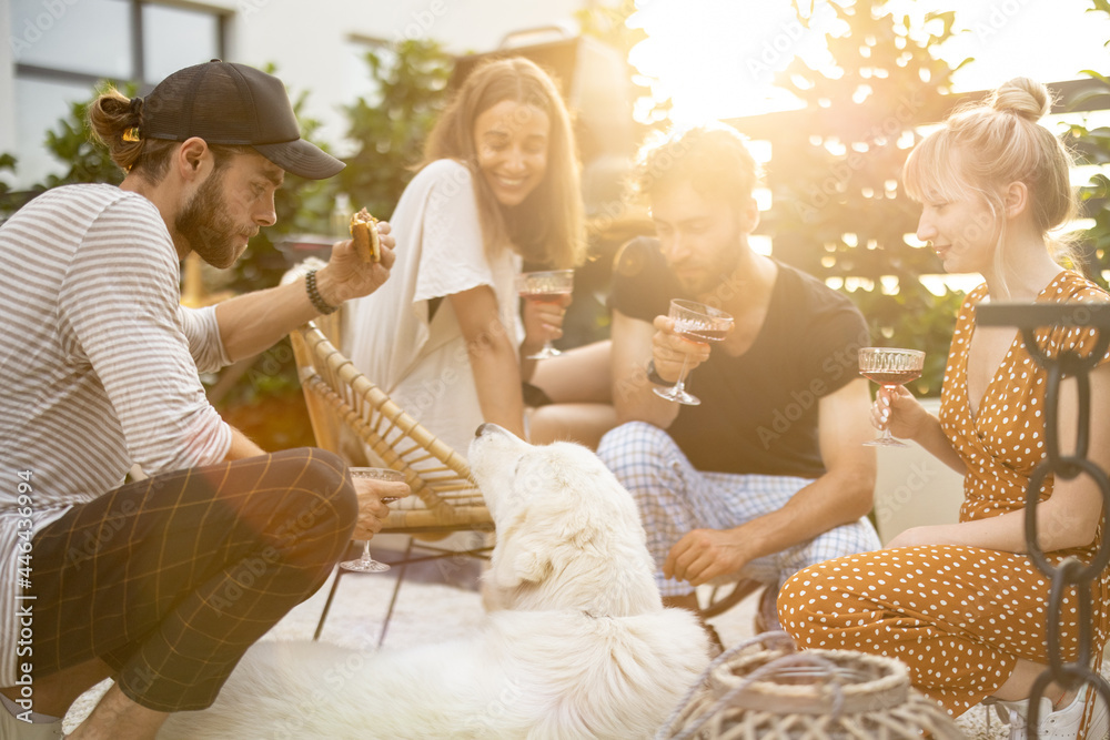 Young friends hanging out together, sitting with a dog, drinking wine and talking. People spending s