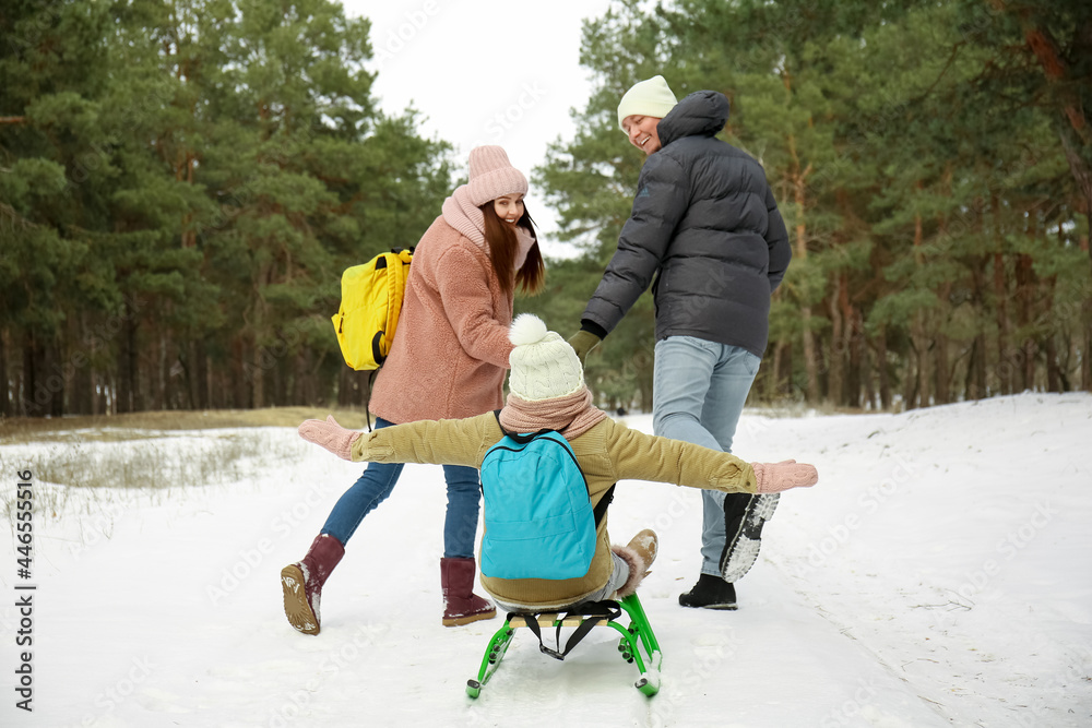 冬日快乐全家在公园玩雪橇