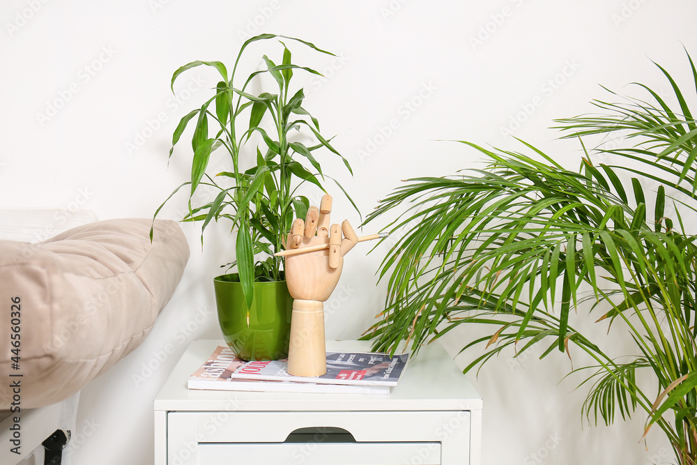 Wooden hand with magazines and houseplants on table near light wall