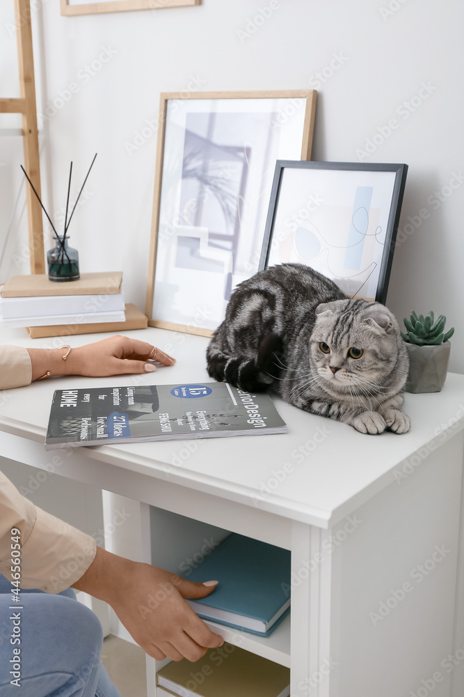 Young woman with cute cat at home