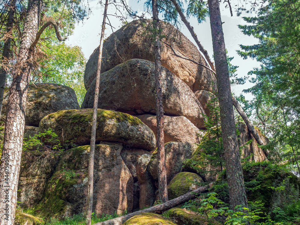 用于高级徒步旅行和登山的高森林岩石。