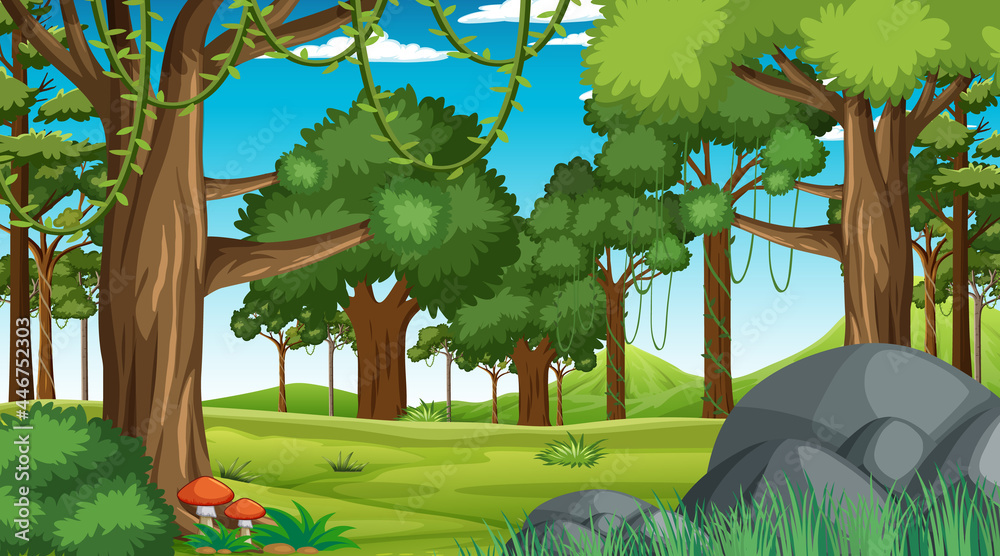 Forest scene with various forest trees and