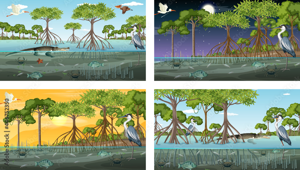 各种动物的不同红树林景观场景