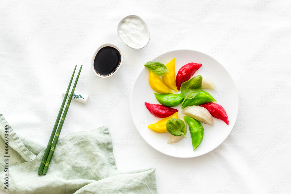 自制蔬菜饺子意大利饺子或白盘子意大利饺子，俯视图