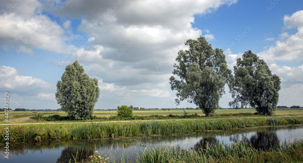 荷兰Haverte Oude Vaart Drente。运河和草地。荷兰风景。云朵。夏天。全景