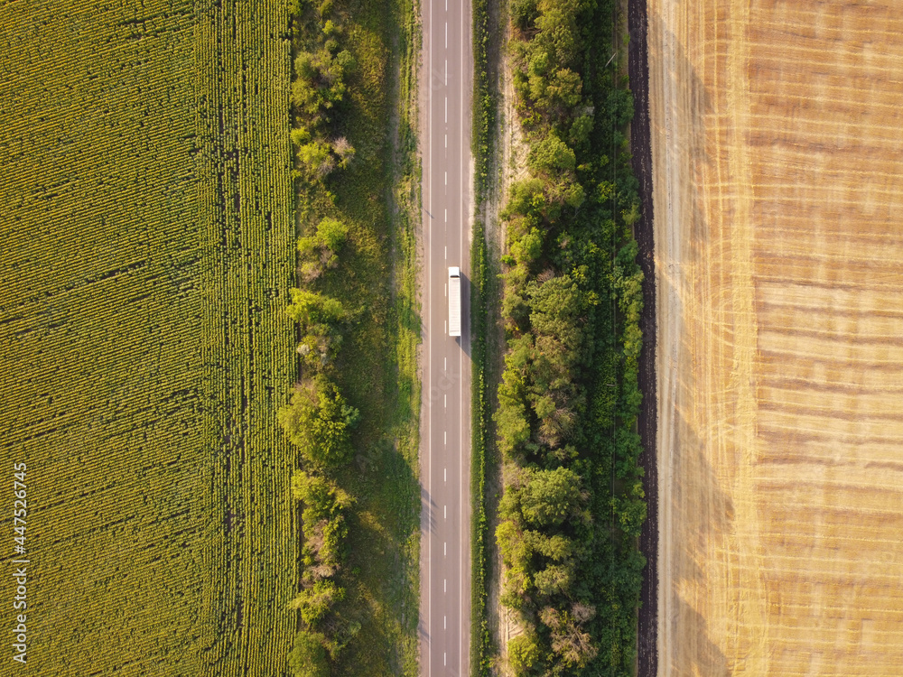 Straight asphalt road between green and yellow fields. Aerial top-down view.