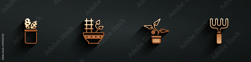 Set Cactus peyote in pot, Plant, and Garden rake icon with long shadow. Vector